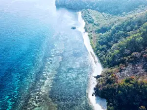 Romang Island