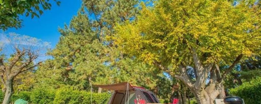 Seaside Sports Park Camping Ground