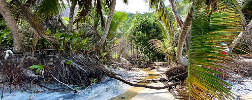 Anse Patates