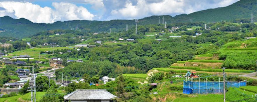 Enokushi Step Rice Field