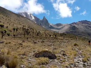 Mount Kenya Naro Moru Park Gate