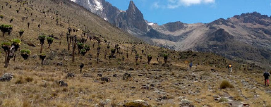 Mount Kenya Naro Moru Park Gate