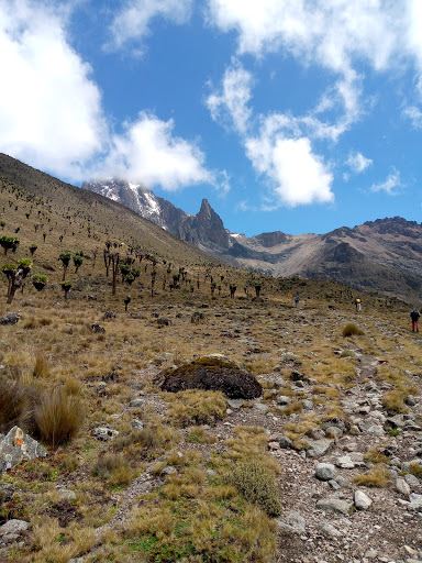 Mount Kenya Naro Moru Park Gate