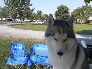 Lima Kennel Club Show Grounds