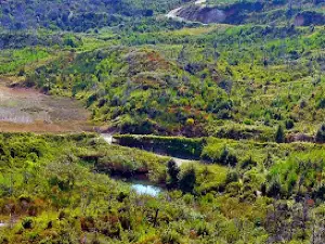 Mavrobara Turtle Lake