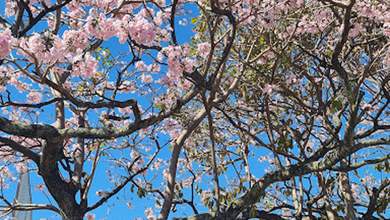 San Juan de Dios de Desamparados Park