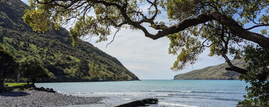 Little Akaloa Domain