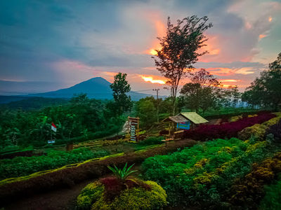 Rest area dan taman eduwisata guyangan