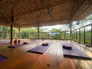 Khaosok Yoga เขาสกโยคะ