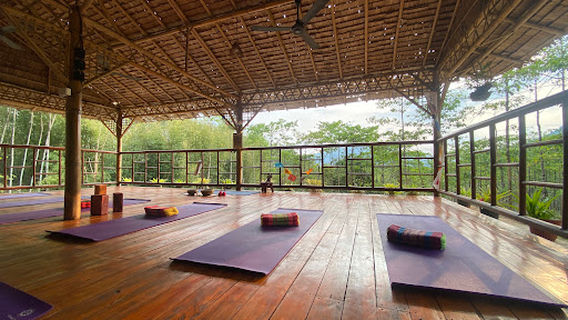 Khaosok Yoga เขาสกโยคะ