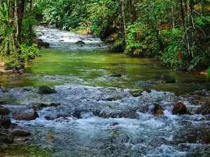 Ton Phrai Waterfall