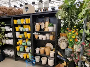 Family Flowers