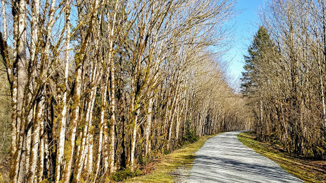 Cedar River Trailhead