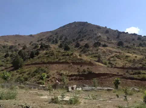 Rishton tumani bog'i