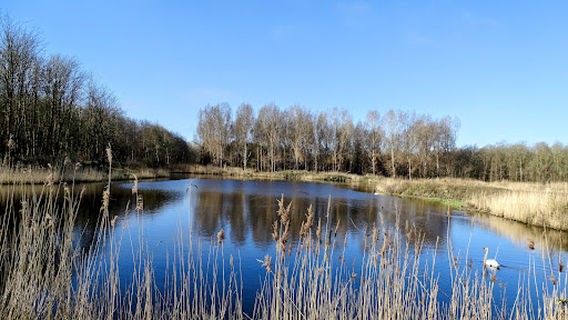 Oostvaardersplassen
