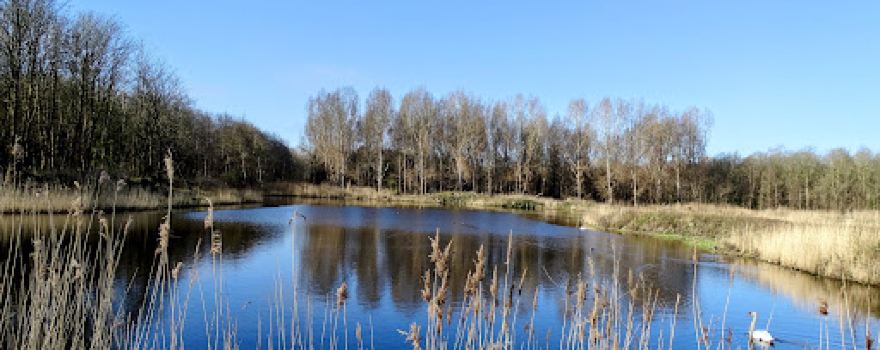 Oostvaardersplassen