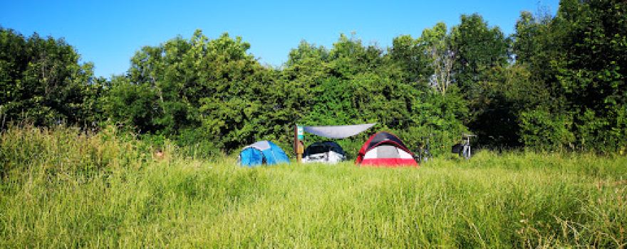 Paalkampeerplaats Oeverlanden Hollands Diep