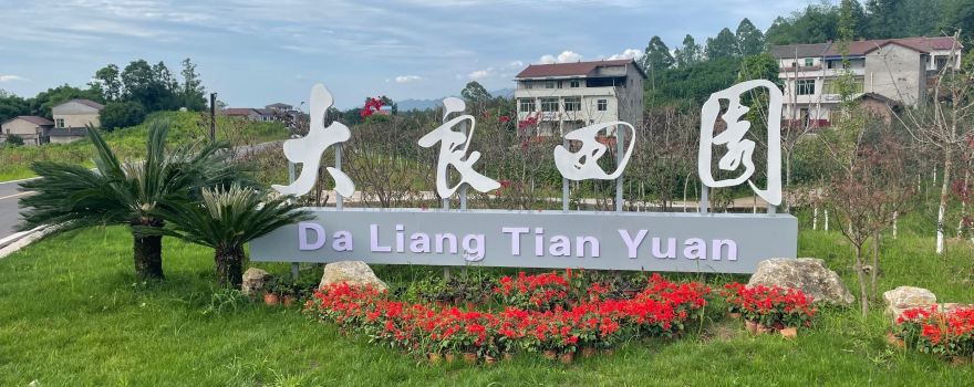 da liang tian yuan lv you du jia qu