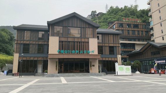 zhong guo bai he lv song shi bo wu guan