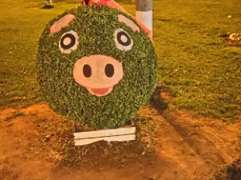 Plaza Cívica de Pro