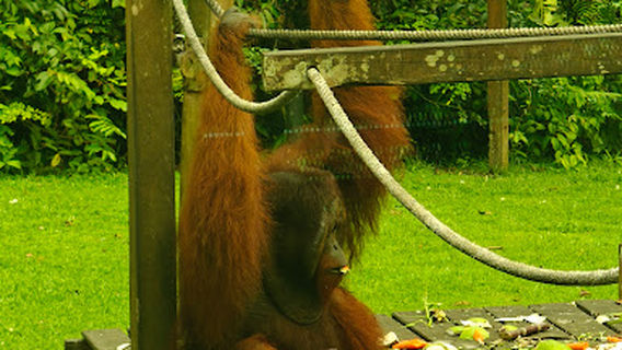 Outdoor Nursery Building