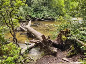 Cashiers Sliding Rock