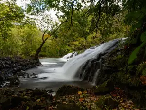 Pinnacle Natural Area Preserve