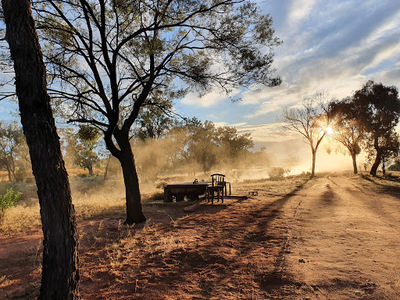 Charlotte Plains