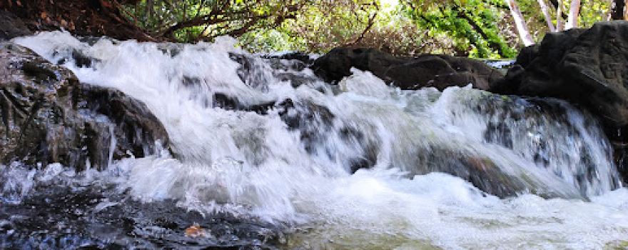 Pitangui's Little Waterfall