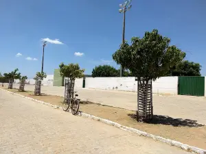 Municipal Stadium "The Piozão"