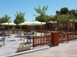 Camping l'Alqueria