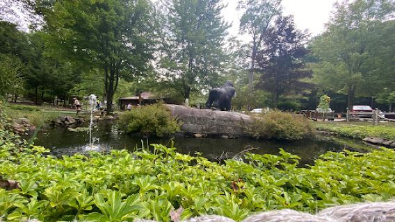 Cook Forest Fun Park