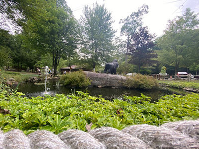 Cook Forest Fun Park