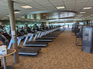 RecPlex