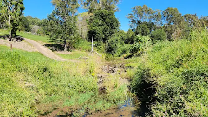Mary Valley Rail Trail - Brooloo Tickets [] - Promos, Prices, Reviews ...