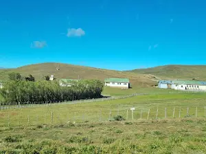 Cruce Cerro Sombrero - Porvenir