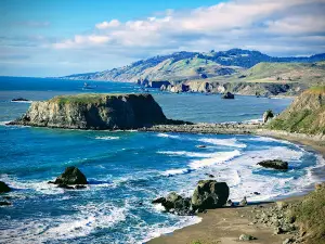 Sonoma Coast State Park