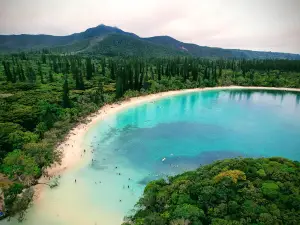 Isle of Pines