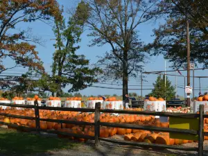 Merrymead Farm