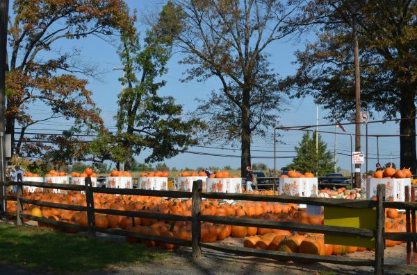 Merrymead Farm