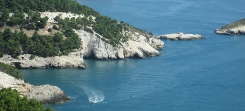 Hotels in Province of Foggia