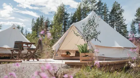 the north face mountain 25 tent – Rixen & Kaul Klickfix Category:E Lastenfahrrad_Spanninga LED Beleuchtung über Akku tested window are thoughtful Couleur de votre tente:Blanc & Kaki