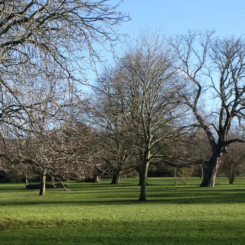 Ruskin Park