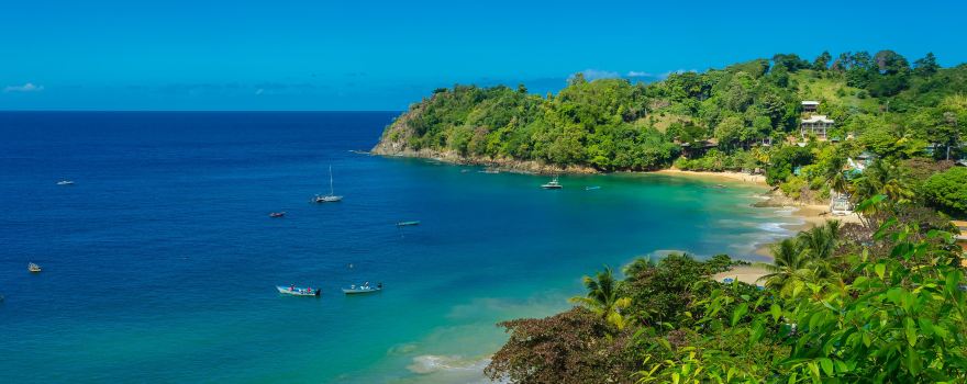 Castara Bay
