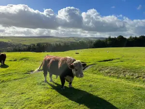 Hesketh Farm Park