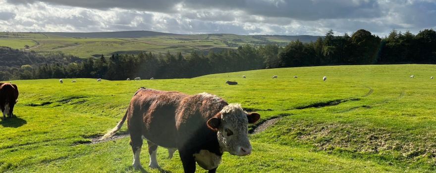 Hesketh Farm Park