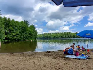 DAR State Forest