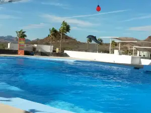 Delfinario Sonora