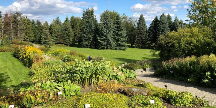 NTNU Ringve Botanical Garden