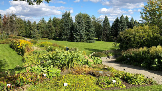 NTNU Ringve Botanical Garden